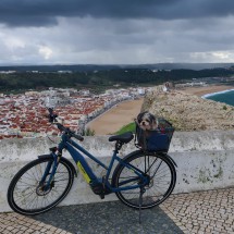 Lili in Marion's bicycle basket with the famous surfer destination Nazaré in the back